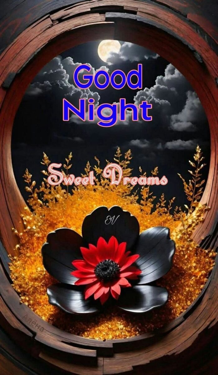 funny good night images hot hd