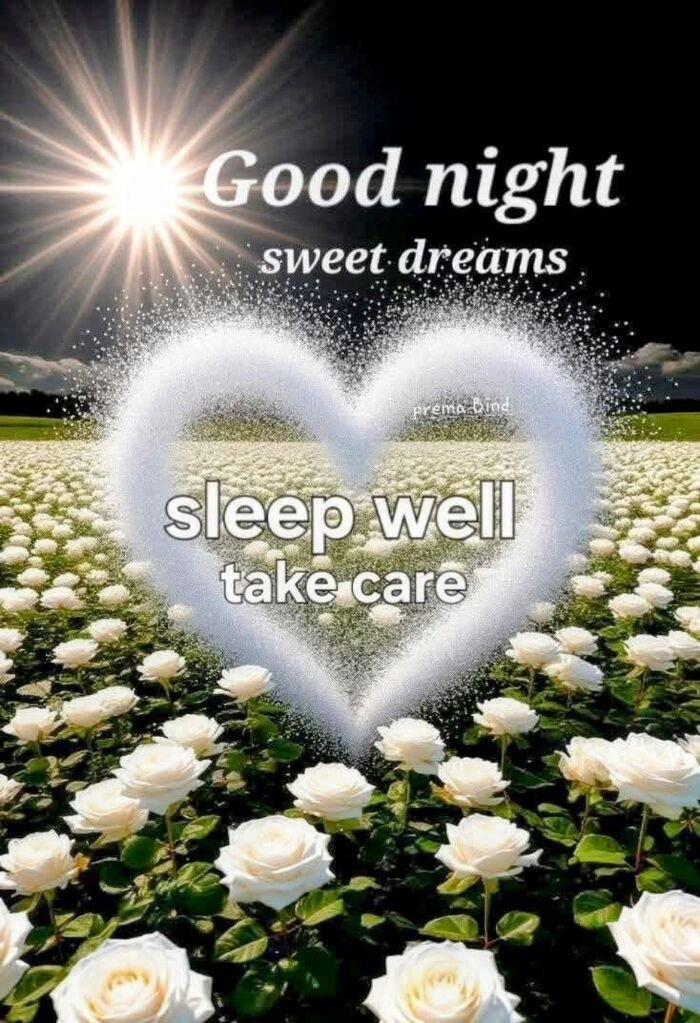 funny good night images hot