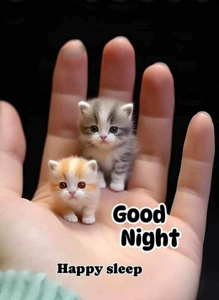 funny good night images in black and white