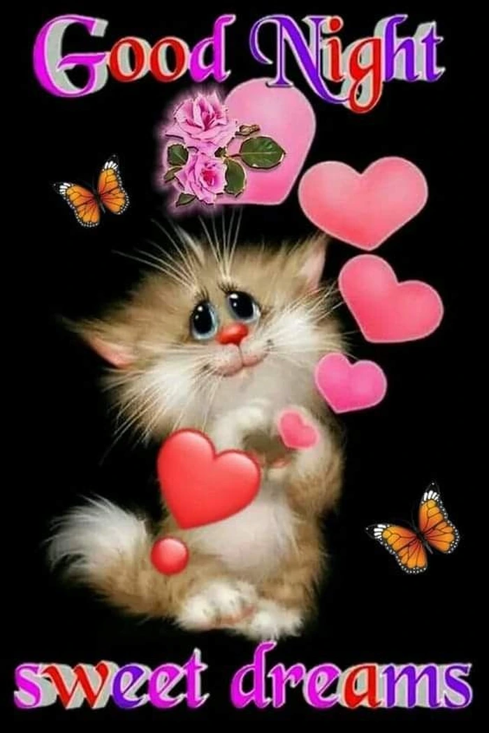 funny good night images stylish appearance