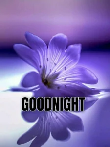 funny good night s dp standing pose