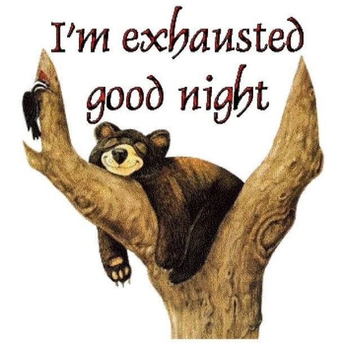 funny good night s in hoodie dp