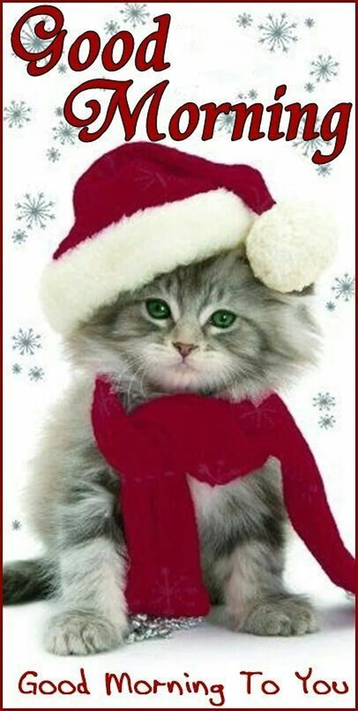 gallery hd wallpapers christmas good morning photo free