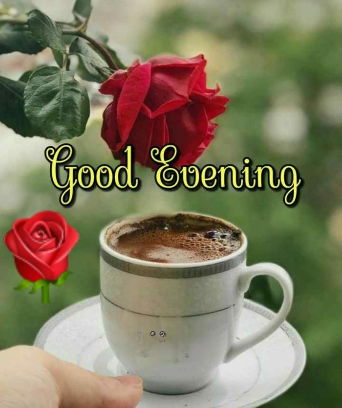 gallery of beautiful good evening tea wallpaper images