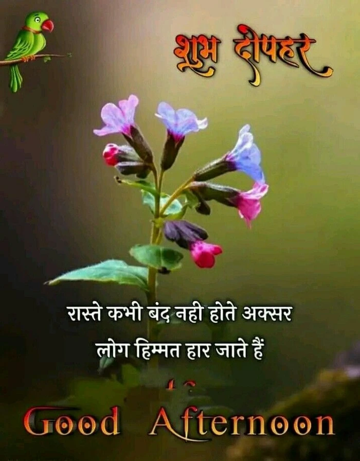 good afternoon images in hindi close up face