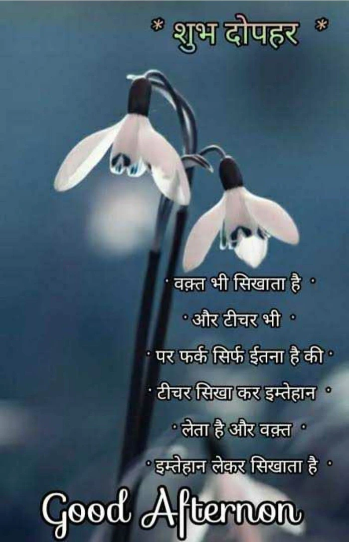 good afternoon images in hindi dp with cap