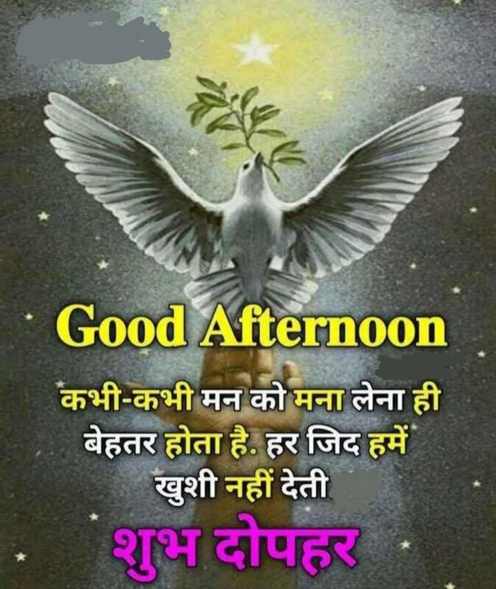 good afternoon images in hindi in casual style