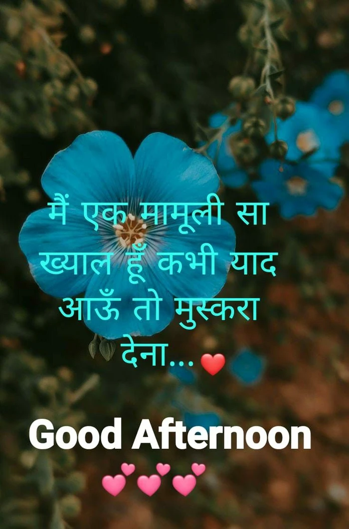 good afternoon images in hindi minimal design