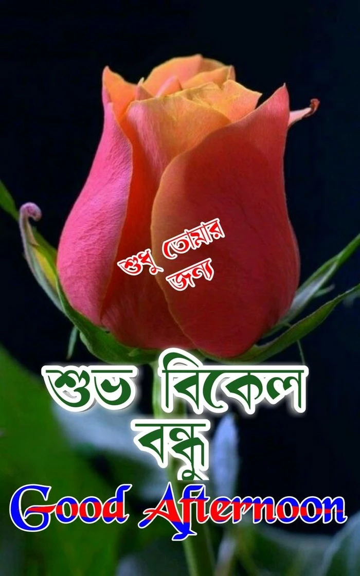 good afternoon images in hindi no filter