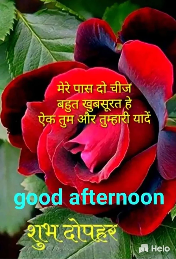 good afternoon images in hindi
