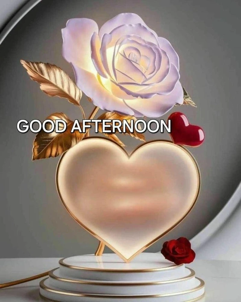 good afternoon rose image in black and white