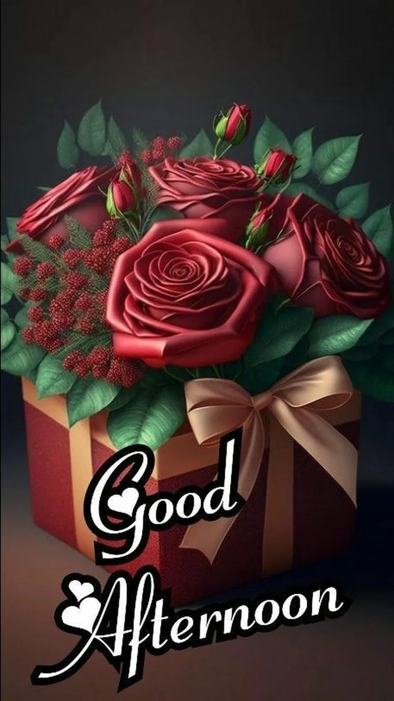 good afternoon rose image stylish appearance