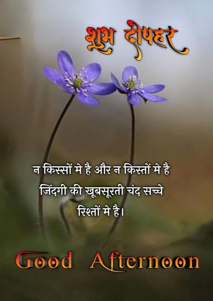 good afternoon s in hindi dp for whatsapp