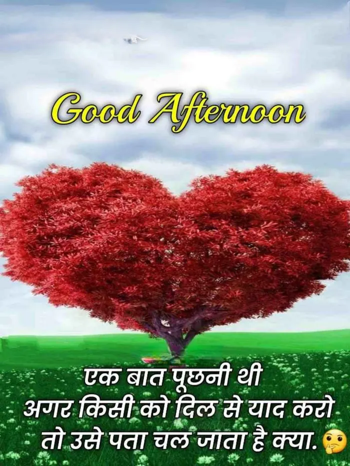 good afternoon s in hindi profile pic good afternoon images in hindi