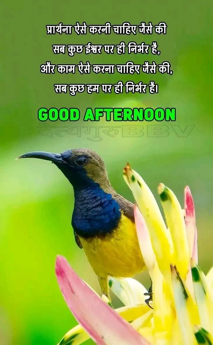 good afternoon s in hindi soft light dp