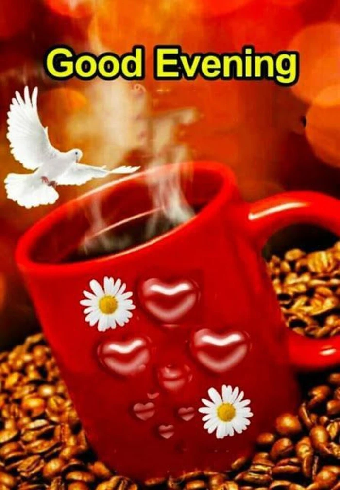 good evening coffee s dp in white outfit