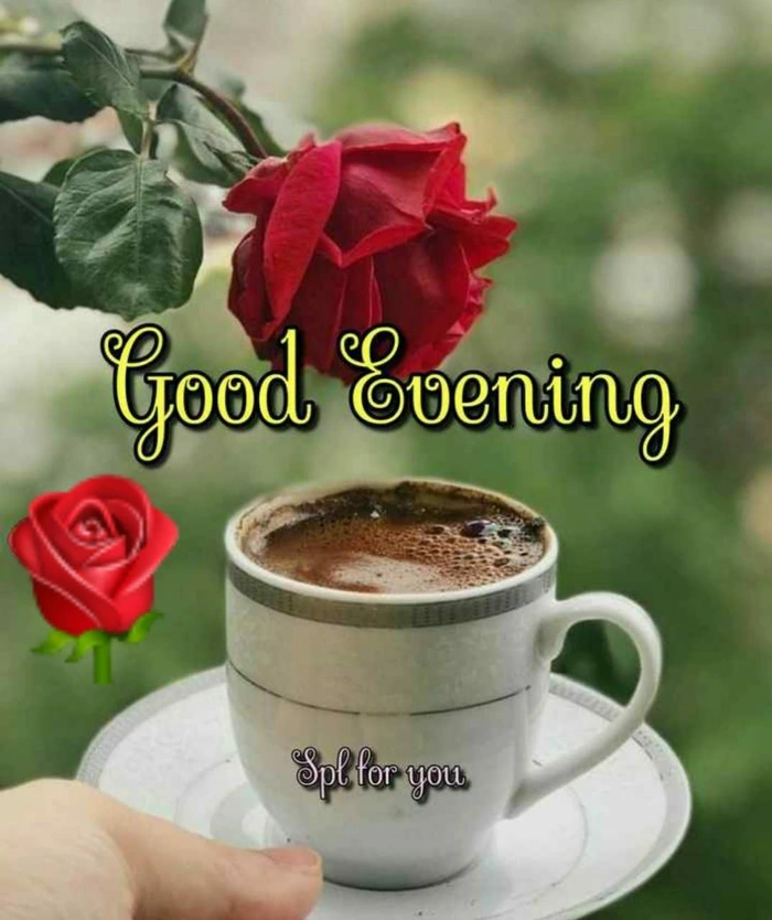 good evening coffee s soft light dp