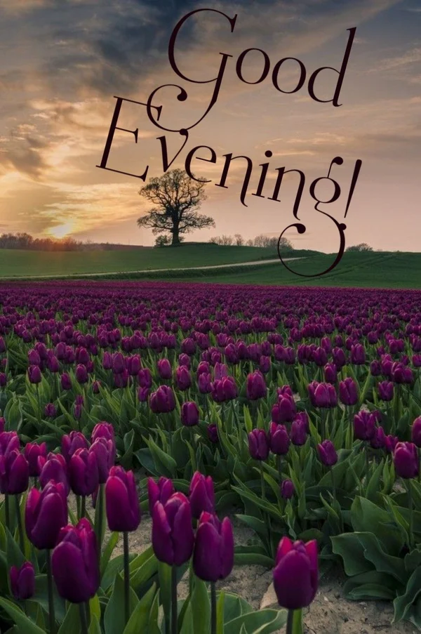good evening images aesthetic style