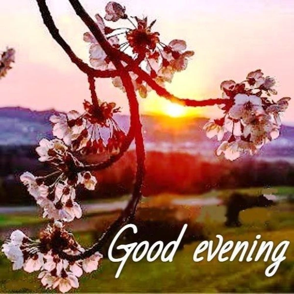 good evening images minimal design