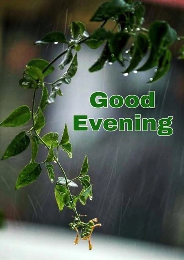 good evening images no filter