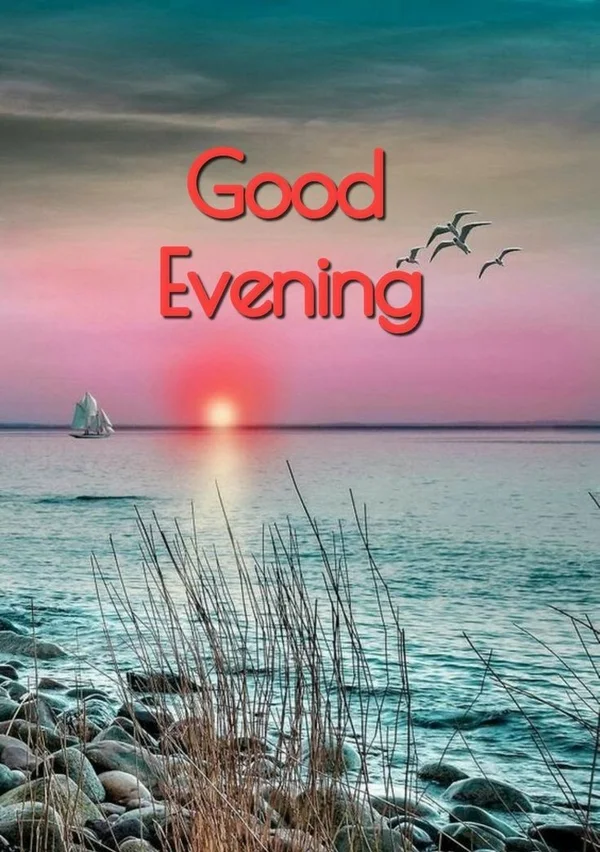 good evening s dp in rain background