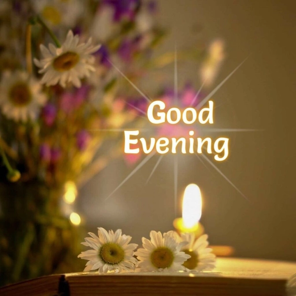 good evening s dp in vintage tone