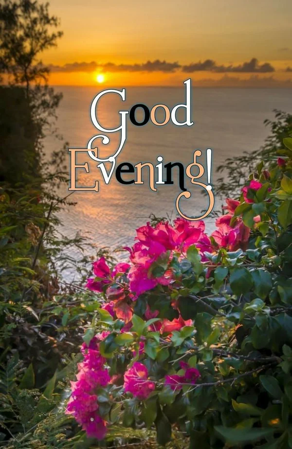 good evening s dp with fashion outfit