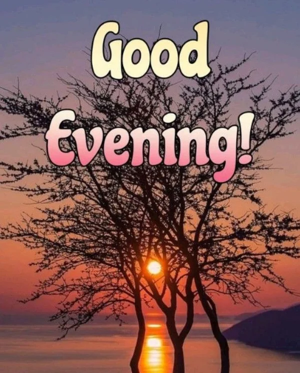 good evening s soft light dp