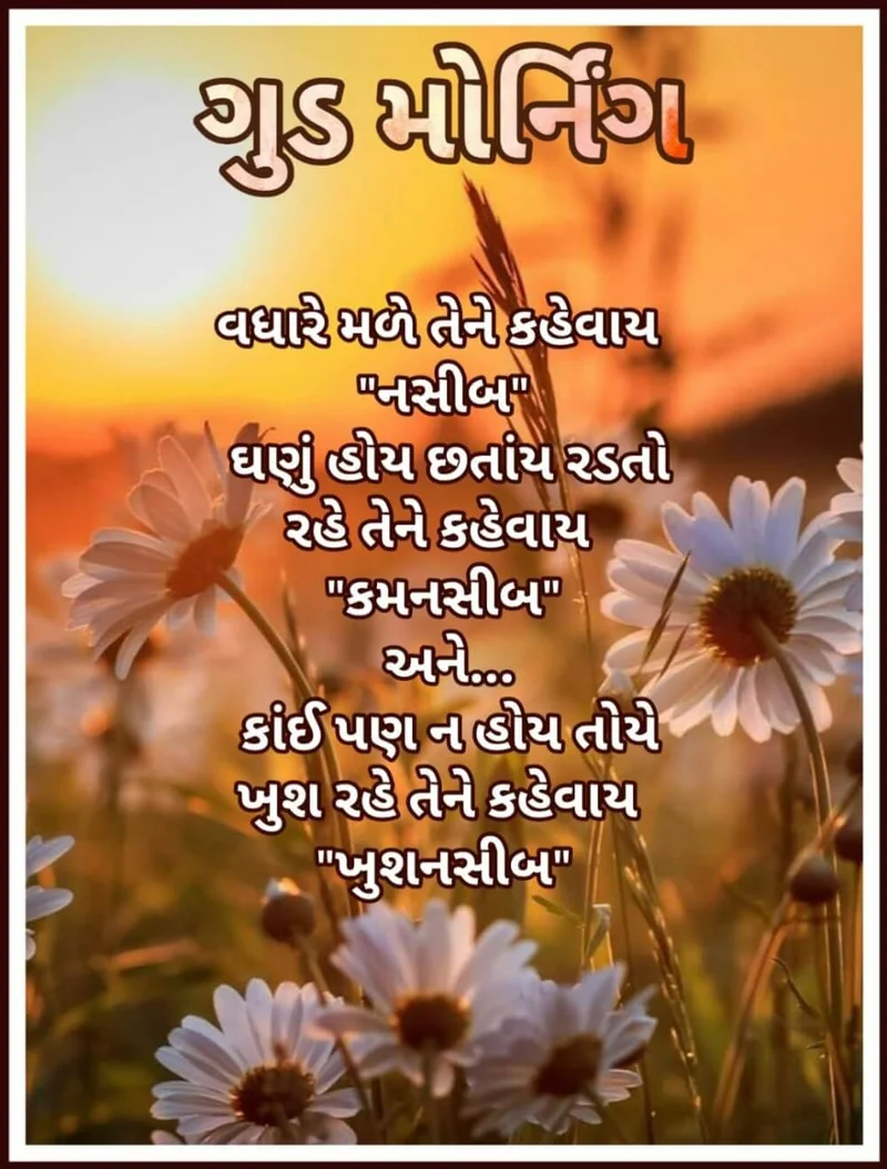 good morning gujarati image peaceful vibes