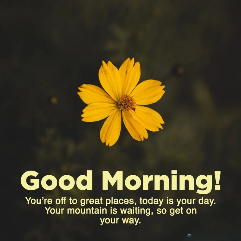 good morning images download free