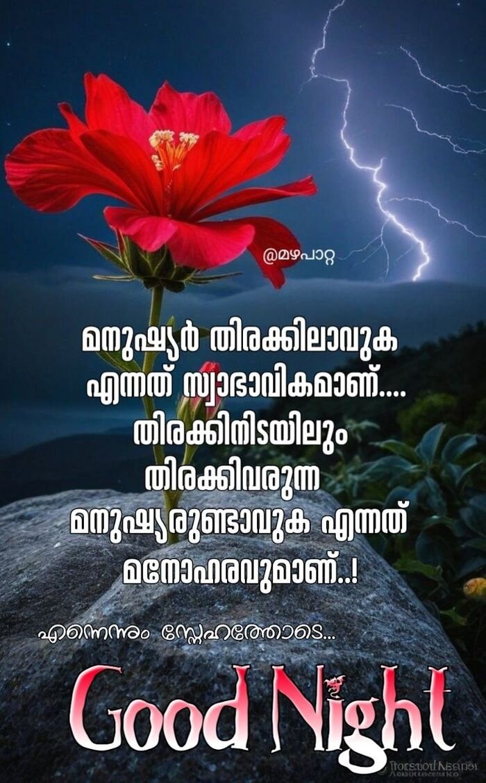 good night images malayalam india pinterest hd