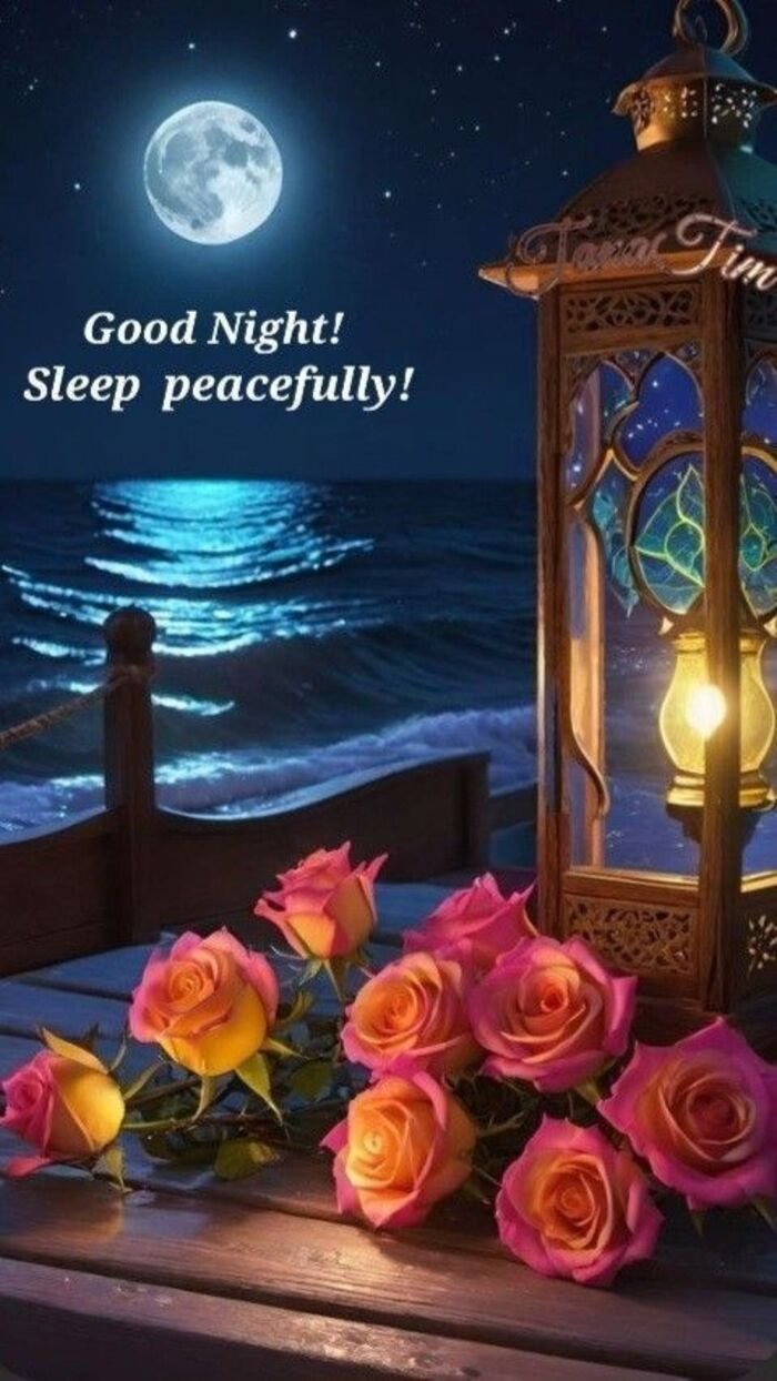 good night rose image full hd