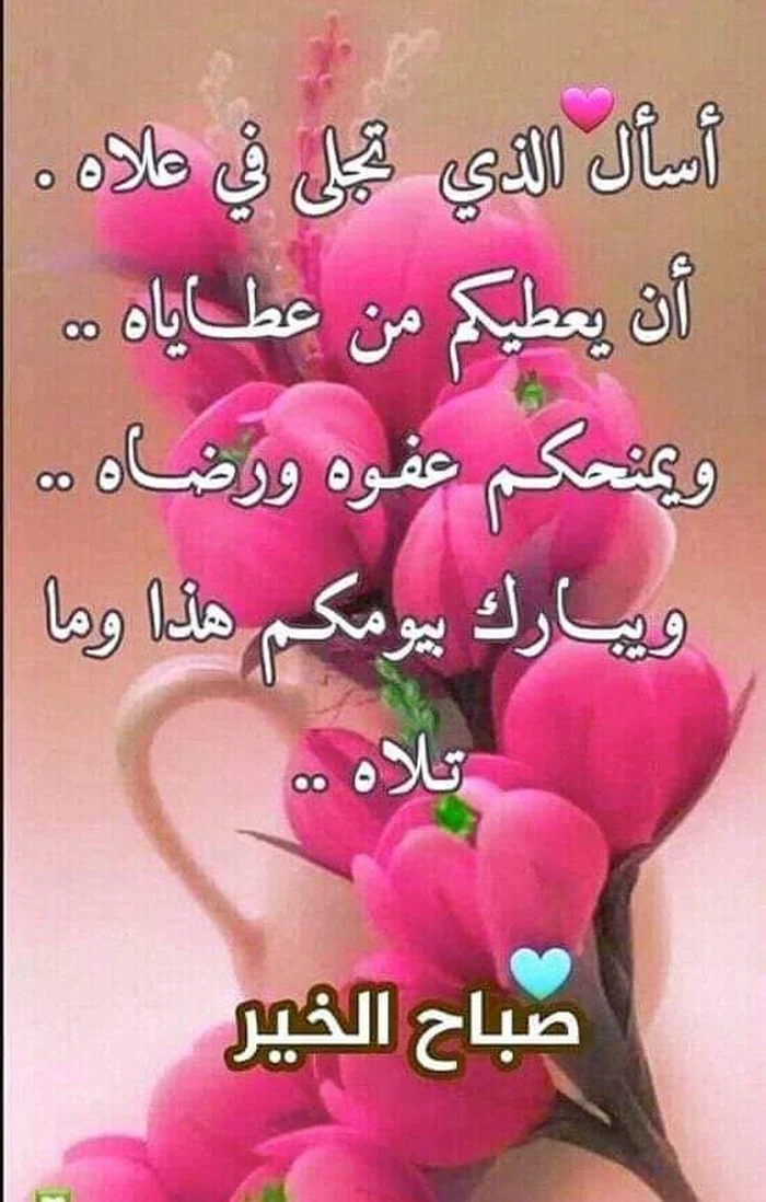 hd arabic good morning images wallpaper gallery download