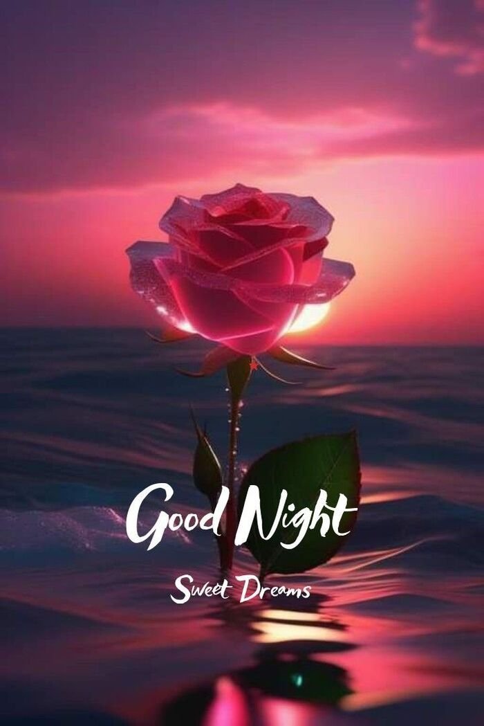 ig good night rose image