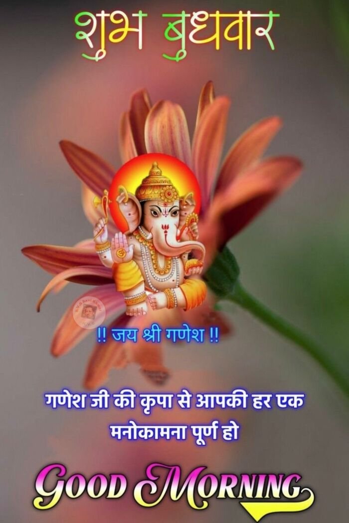 image budhwar good morning full hd