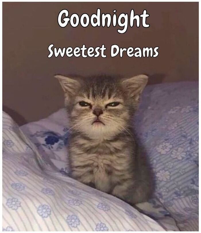 image funny good night photos full hd