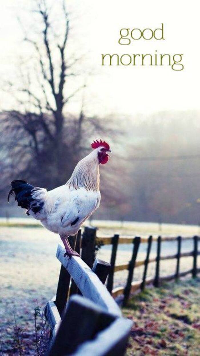 instagram aethetics beautiful nature good morning images