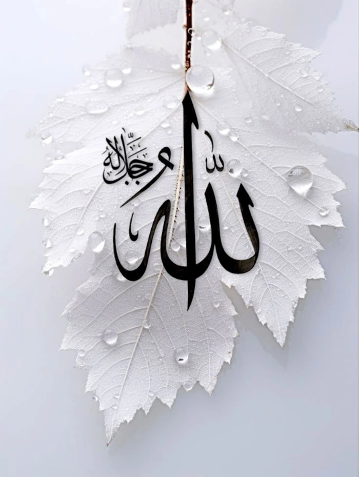 instagram islamic dp 5