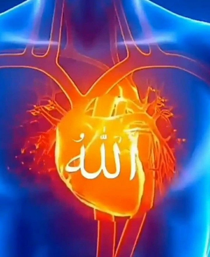 instagram islamic dp 6