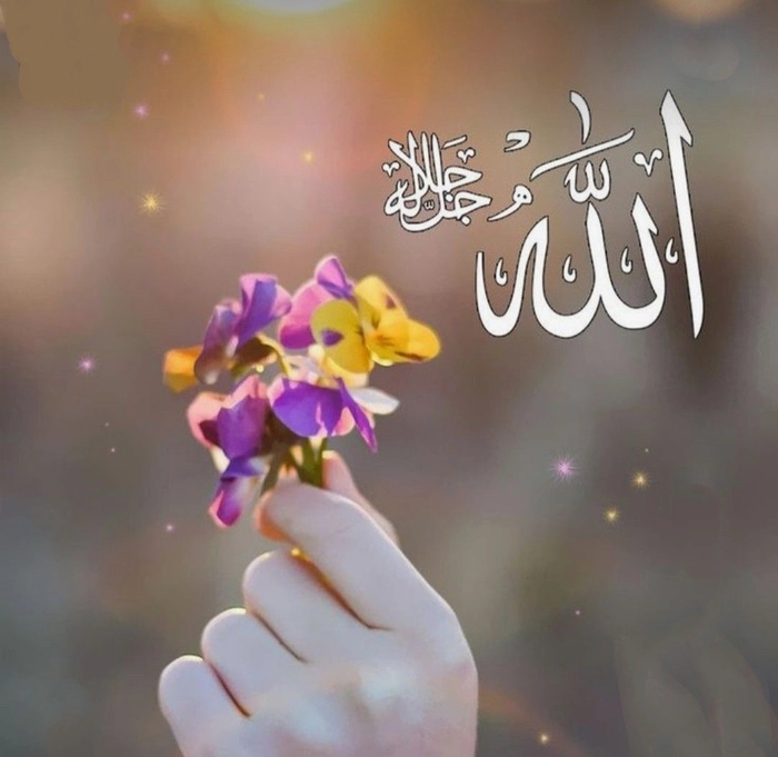 islamic dp 23