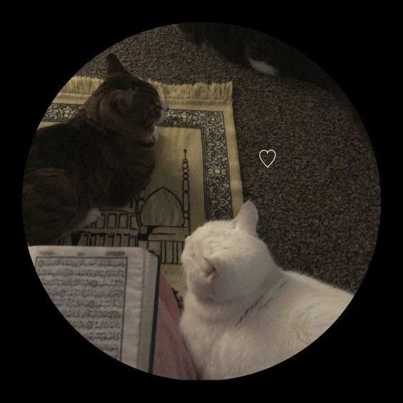 islamic profile pic 25