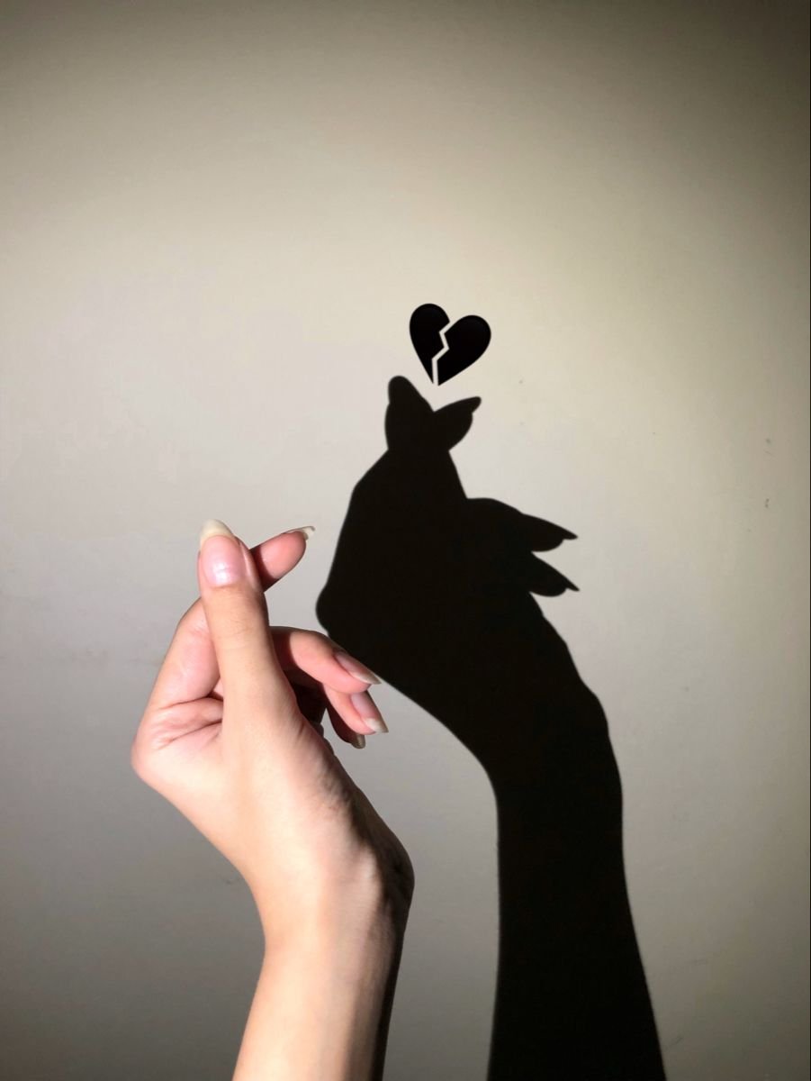 lost broken heart dp