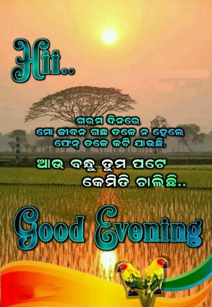 modern good morning image in odia