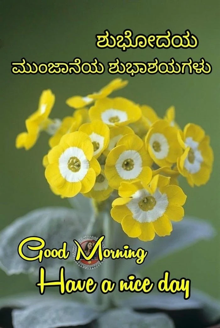 modern good morning images in kannada