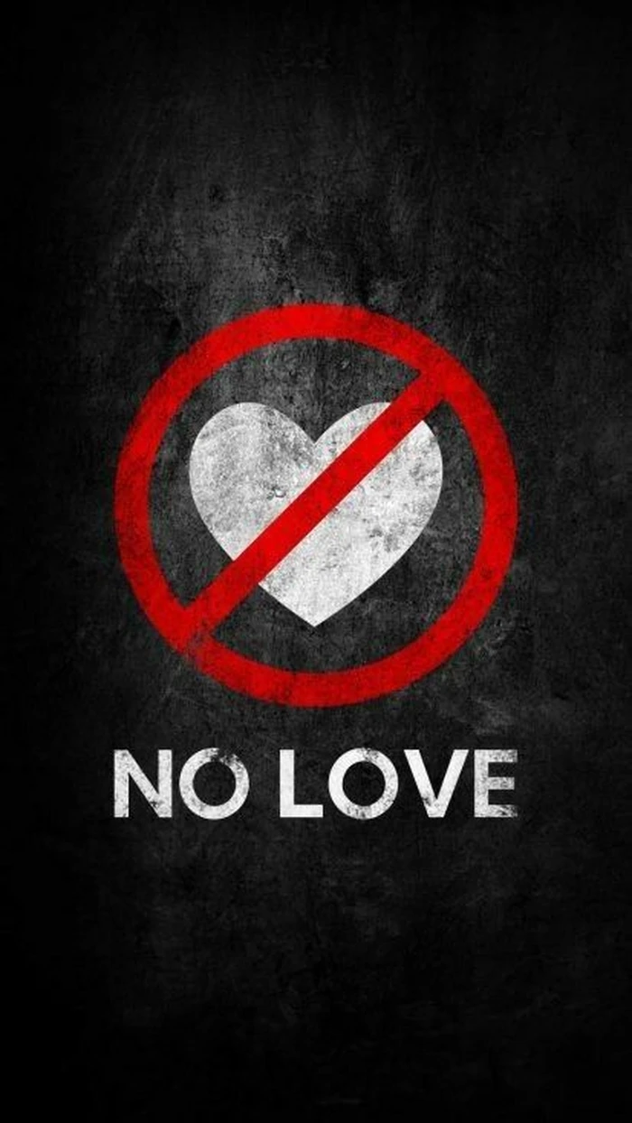 no love dp