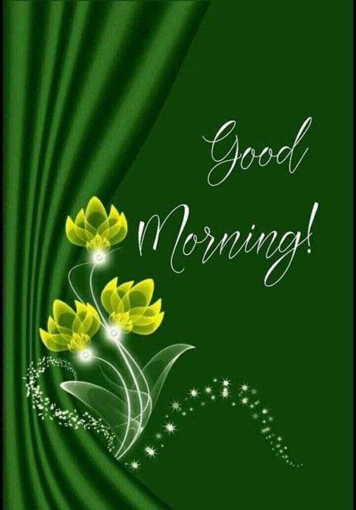 photo_7_2025-11-18_08-54-47