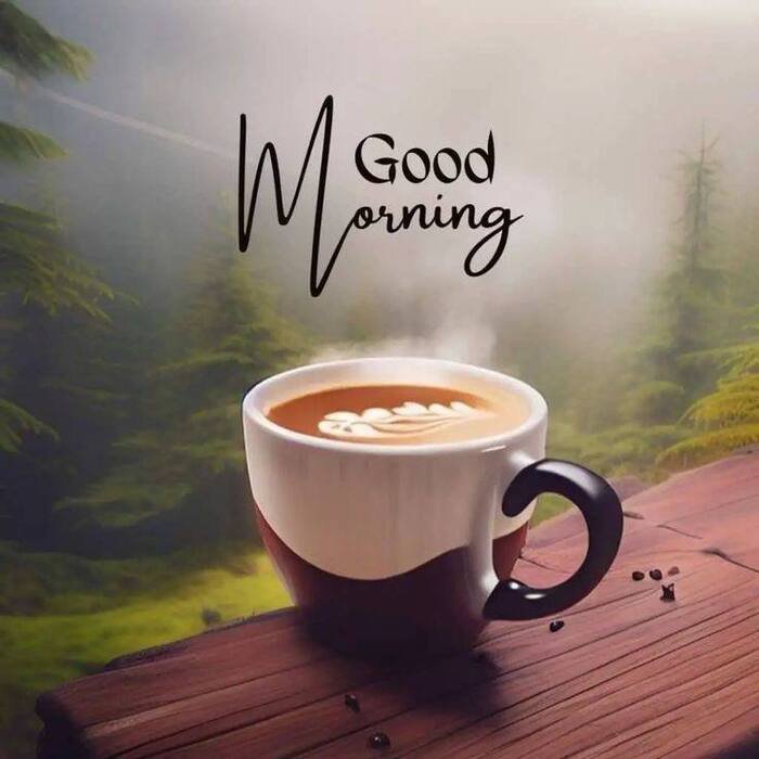 photo_9_2025-11-18_08-54-47