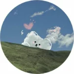photos for whatsapp dp with background blur
