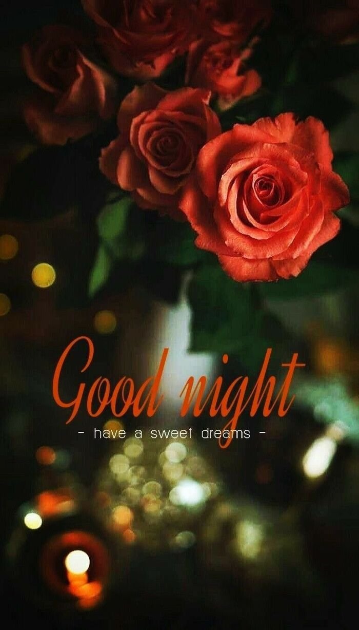 pinterest full hd good night rose image