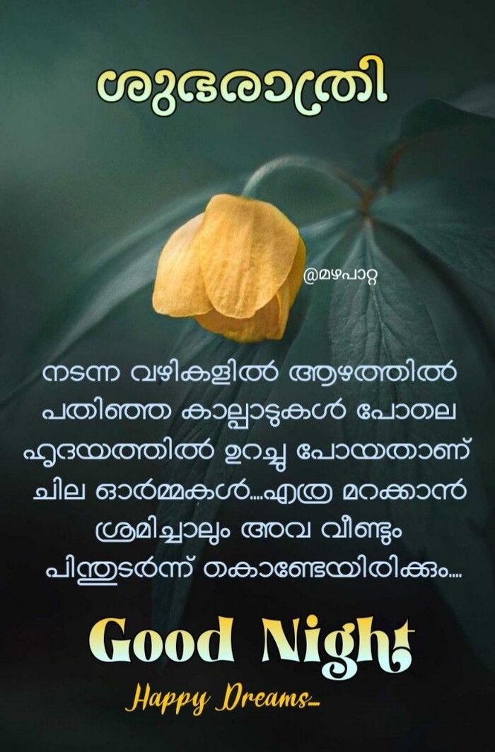 pinterest good night images malayalam beautiful